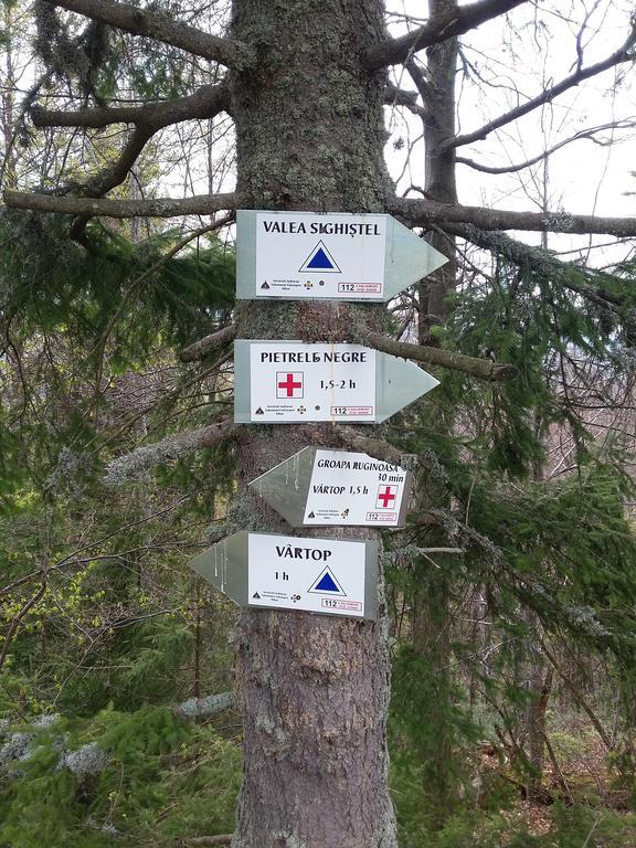 Pensiunea Piatra Graitoare Vartop Luaran gambar