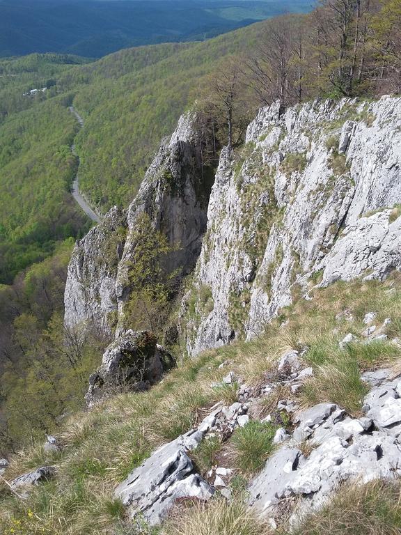 Pensiunea Piatra Graitoare Vartop Luaran gambar
