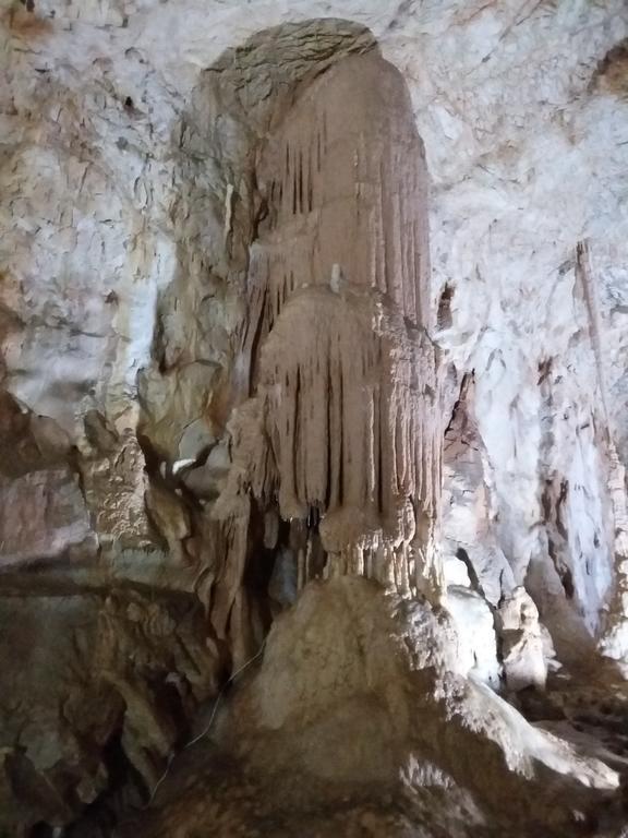 Pensiunea Piatra Graitoare Vartop Luaran gambar