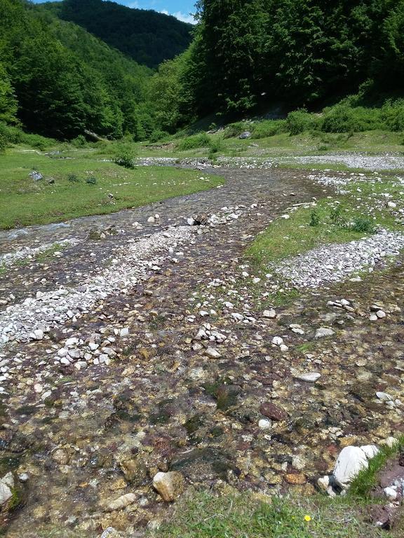 Pensiunea Piatra Graitoare Vartop Luaran gambar