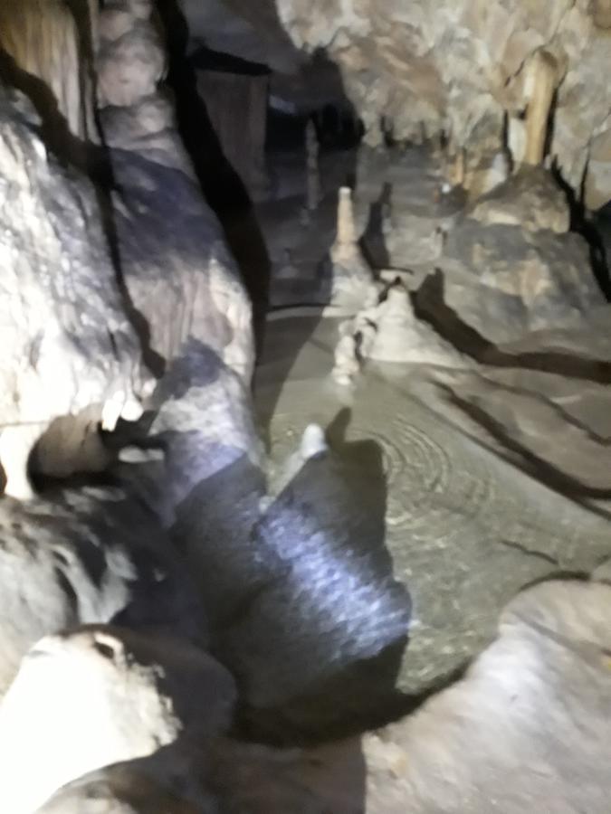 Pensiunea Piatra Graitoare Vartop Luaran gambar